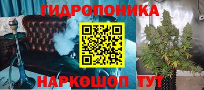 стаф Бугуруслан