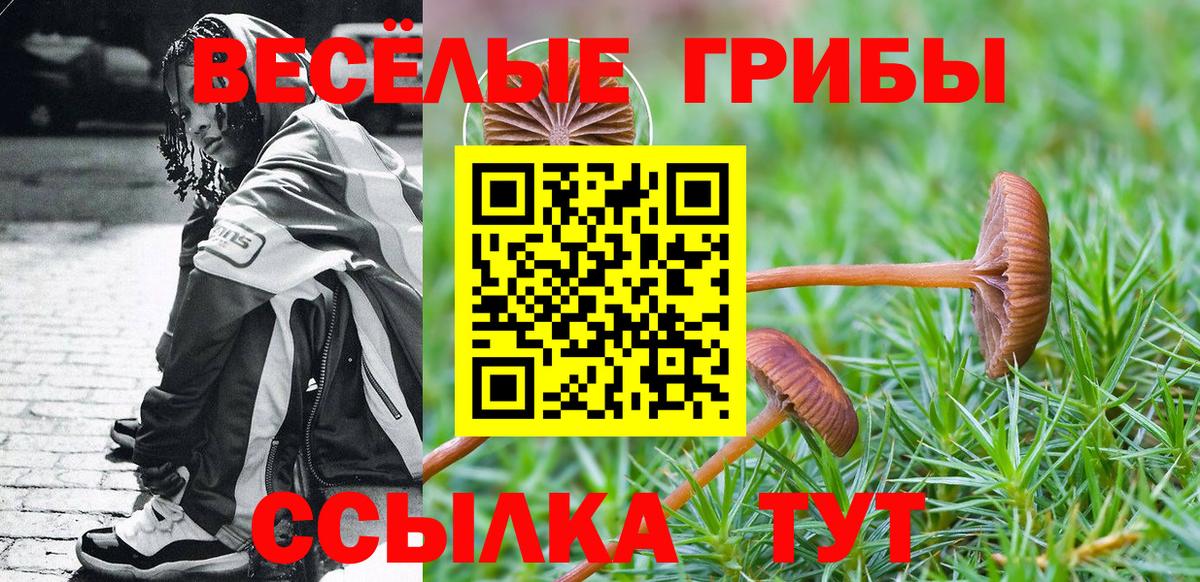 Галлюциногенные грибы Psilocybine cubensis Тутаев